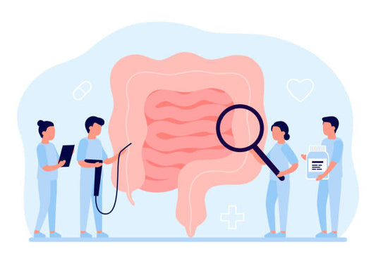 How to Support Gut Health with Probiotics and Prebiotics
