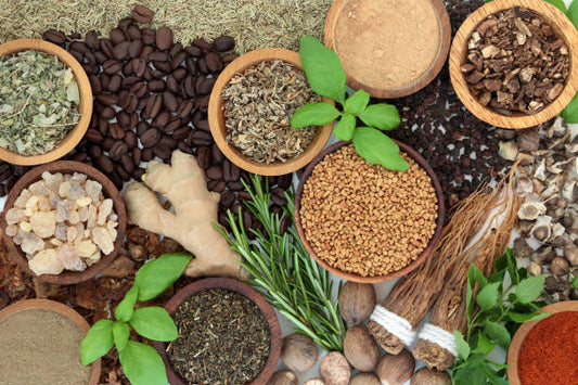 Adaptogens: What Are They and Should You Take Them?