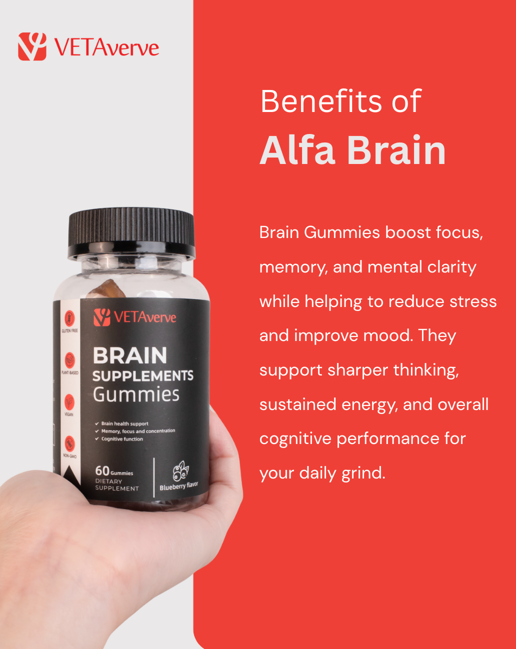 Alfa Brain Gummies