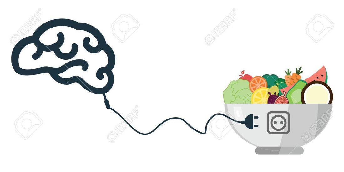 Best Supplements for Cognitive Function and Memory - VetAverve