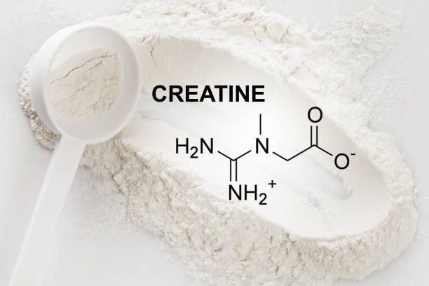 Do You Need Creatine? A Beginner’s Guide 💥 - VetAverve