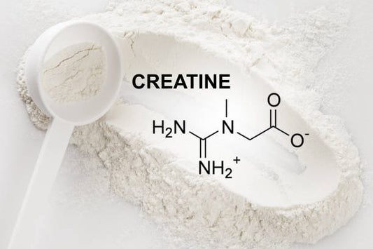 Do You Need Creatine? A Beginner’s Guide 💥 - VetAverve