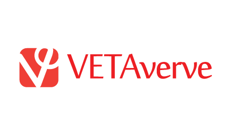 How One Small Change Can Transform Your Entire Day: The True Story Behind Vetaverve Alpha Brain Gummies - VetAverve