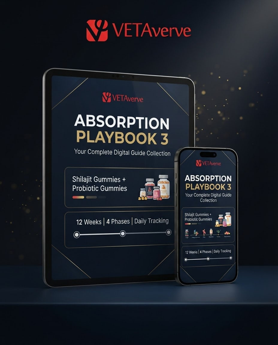 Absorption Playbook (3 Digital Guides)