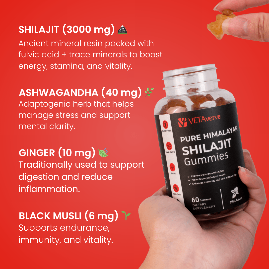 Shilajit Gummies - VetAverve